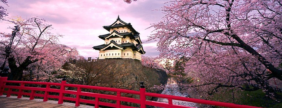 Japonca Terc�me Fiyatlar�